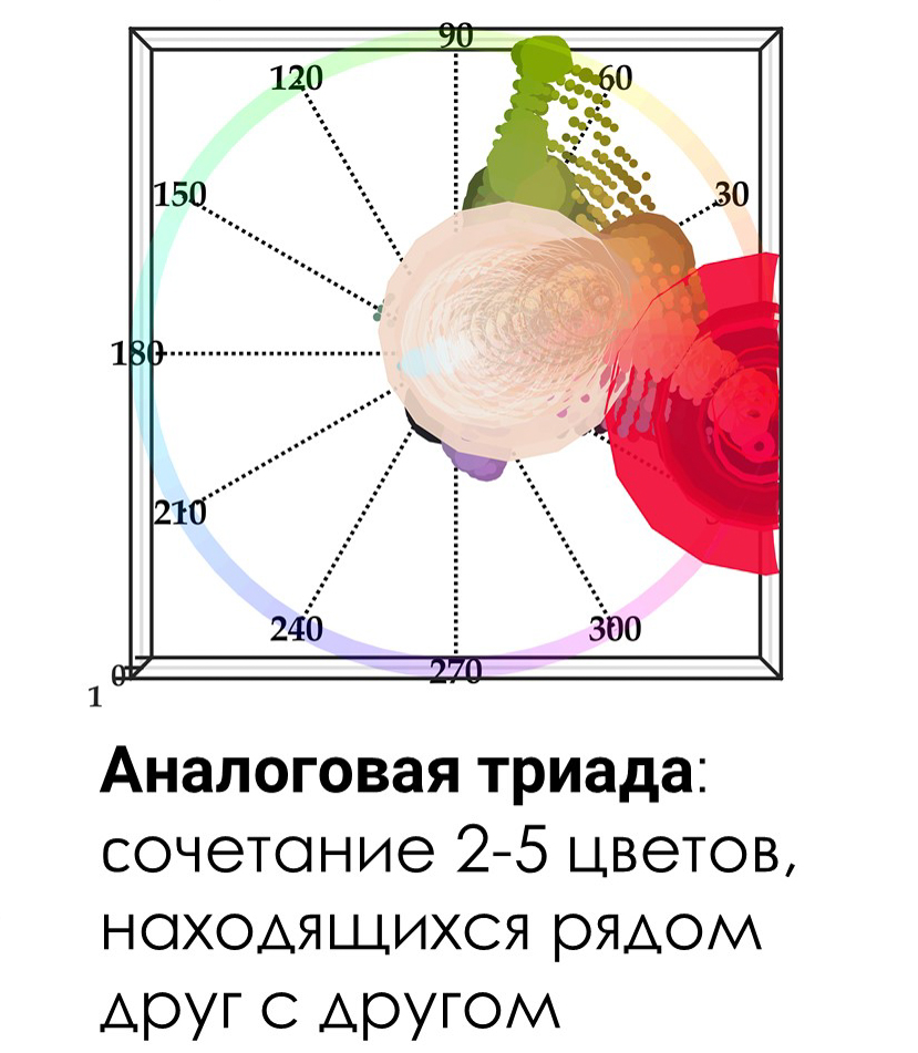 analyzephoto4